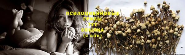 круглые Заволжск