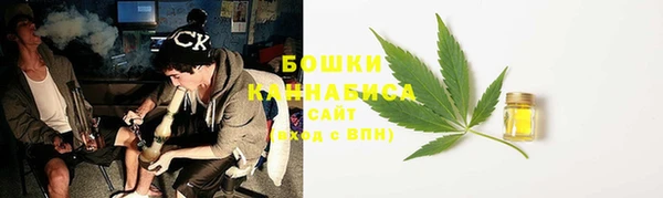 сатива Заволжье