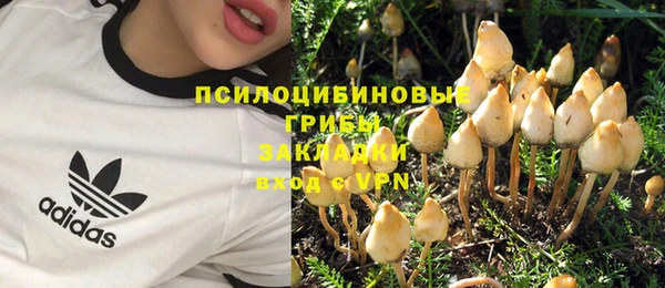 винт Заводоуковск