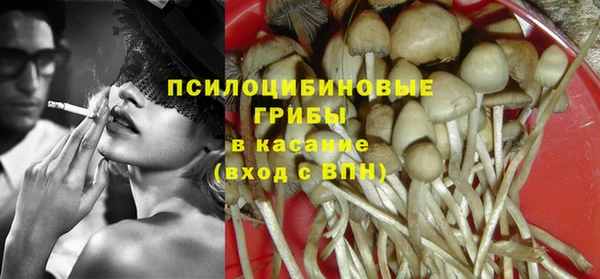 сатива Заволжье