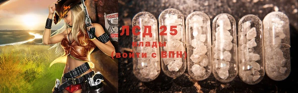 сатива Заволжье